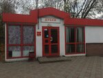 Дубки (Admirala Nakhimova Street, 12А) ، مقهى