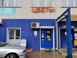 Cvety (Work Settlement of Pravdinskiy, Stepankovskoye shosse, 39), flower shop