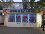 Vita (pereulok Krasny Shakhtyor, 61Г), pet shop