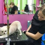 Груминг салон № 1 (Dolgorukovskaya Street, 40), pet salon