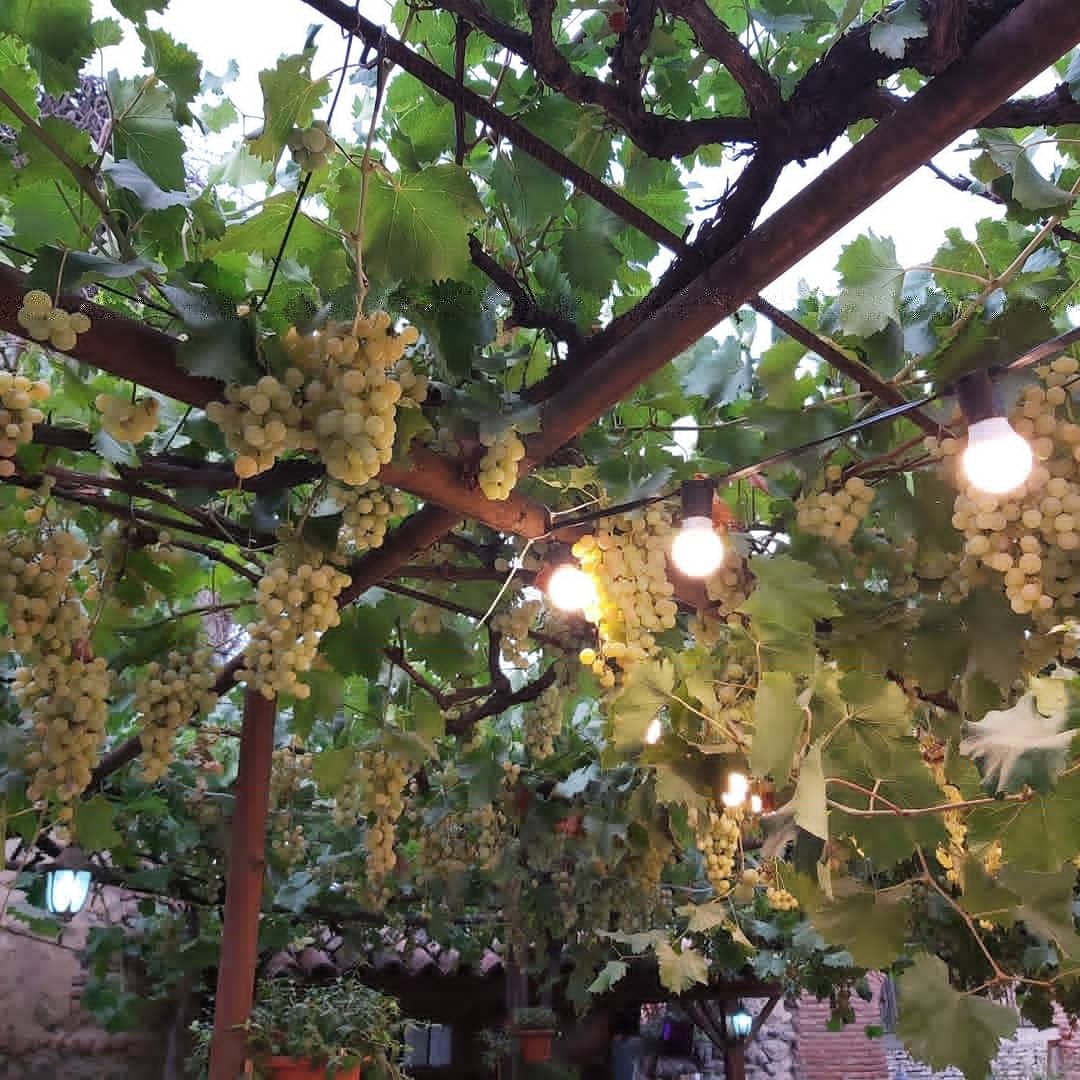 Фото Guest House Kusika