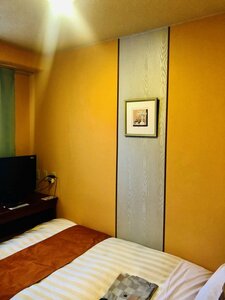 Гостиница Fujinomiya Green Hotel