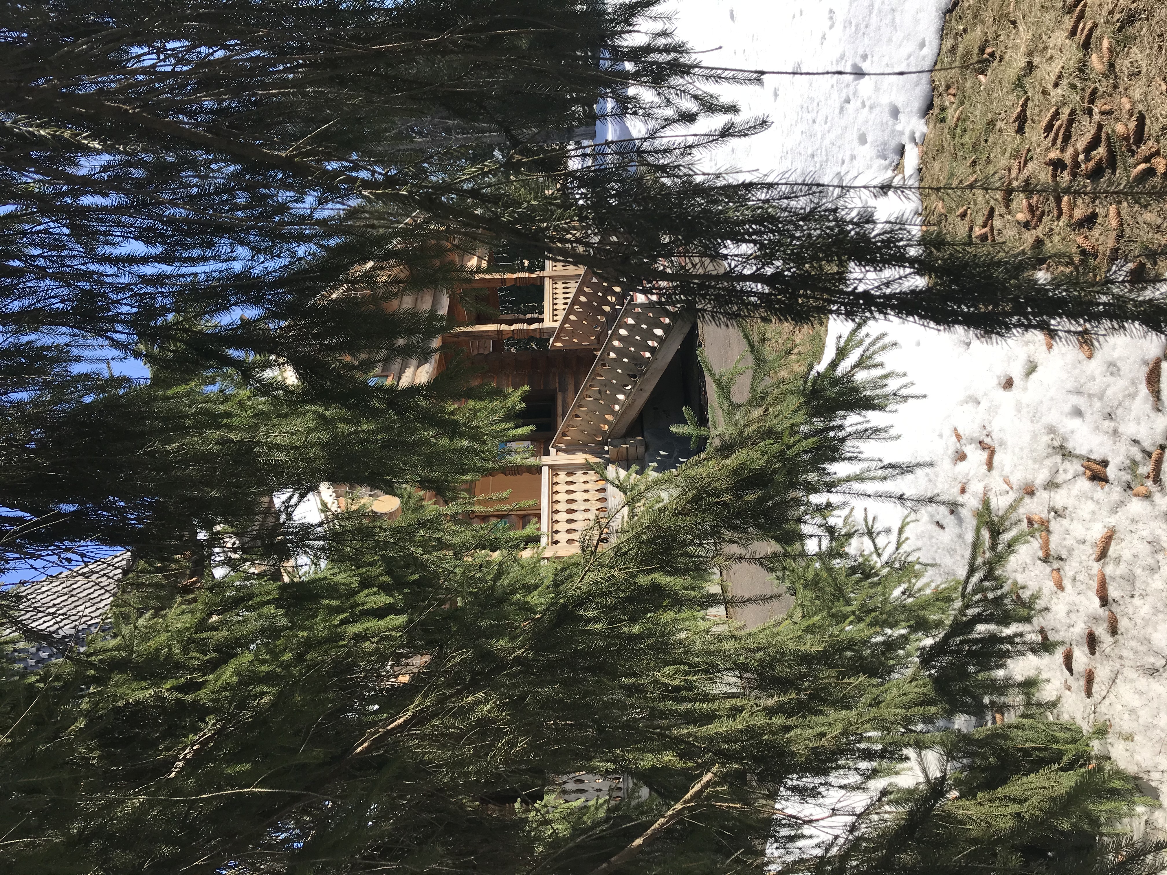 Фото Центр социальной геронтологии Чайковский