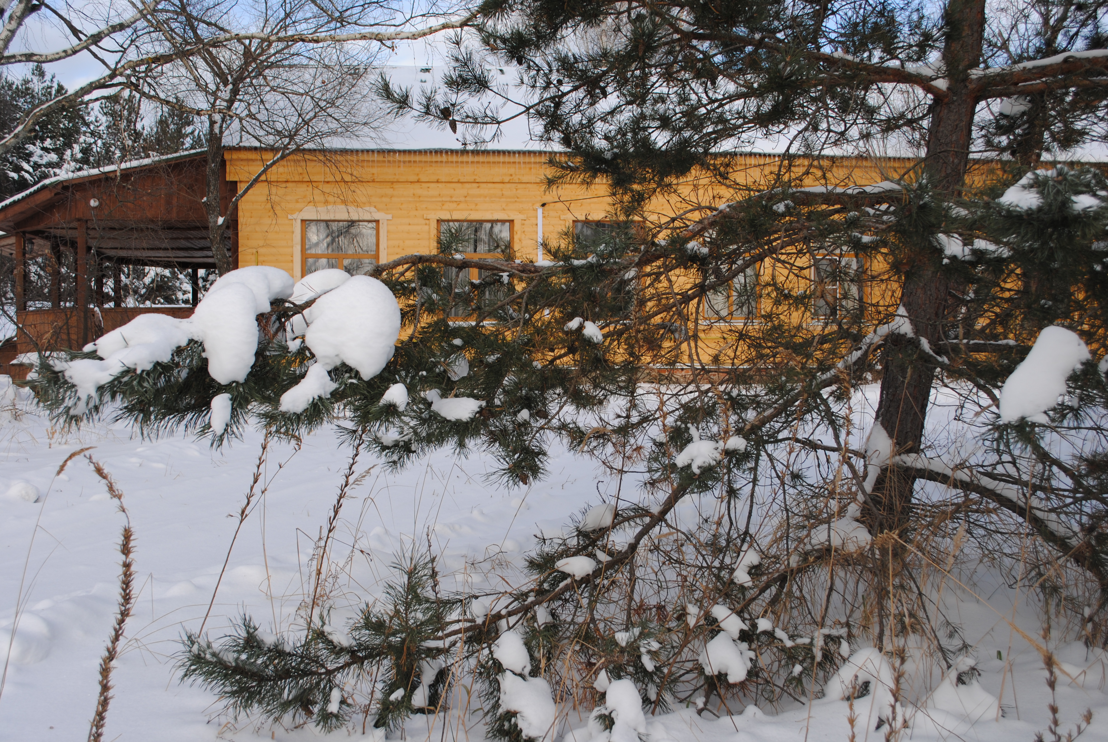 Фото НиКиТа