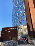 Aurora (Sheynkmana Street, 55) ، مركز أعمال