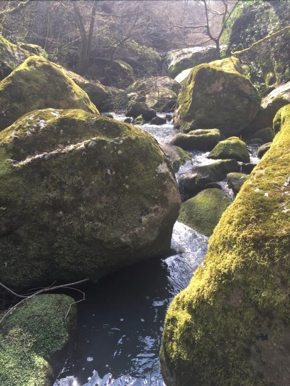 Фото Le Torrette B&b