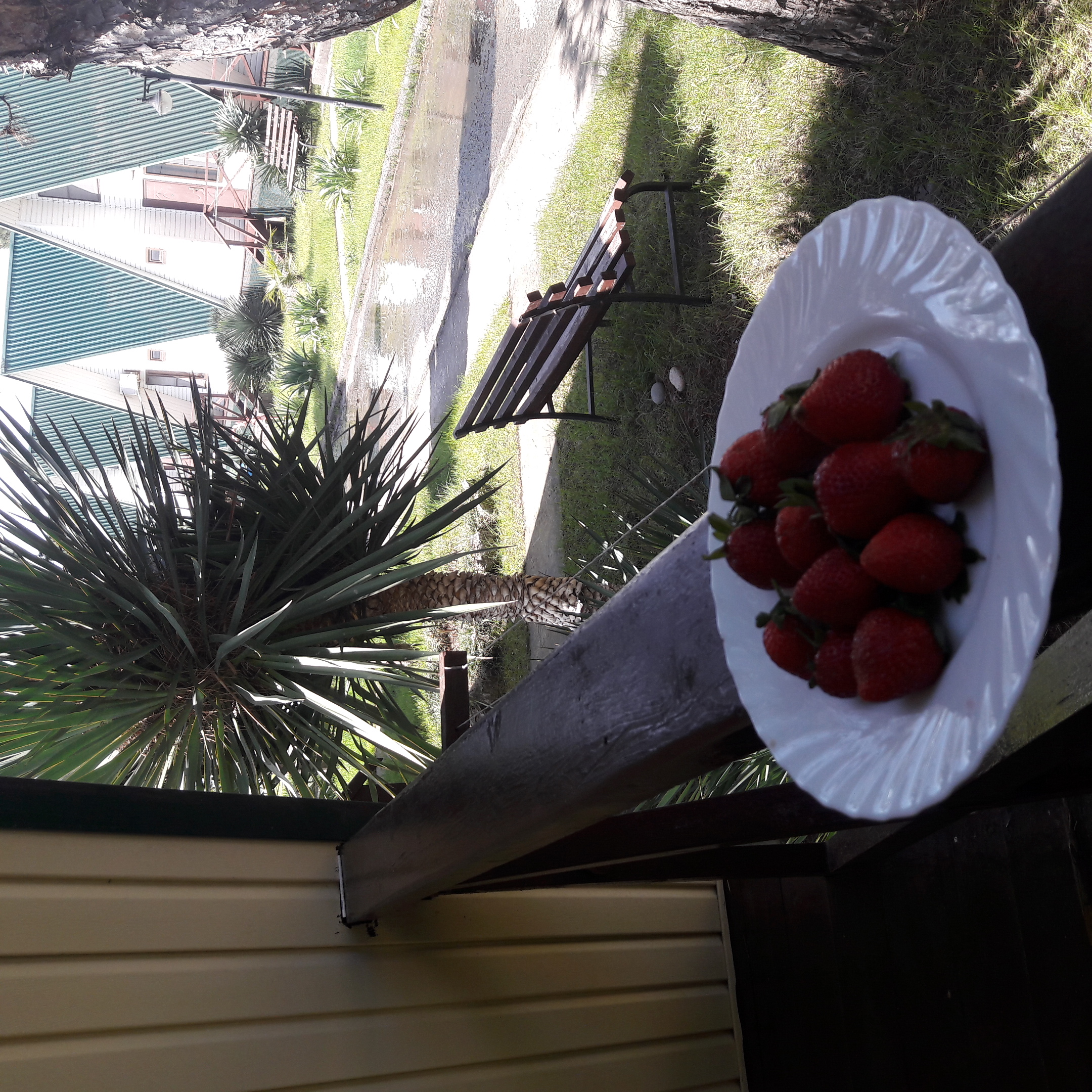 Фото Пансионат Кяласур