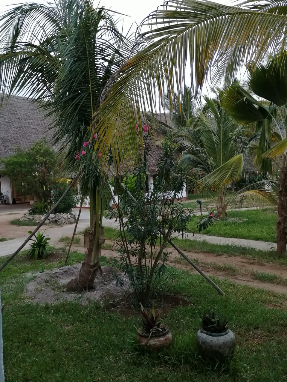 Фото Uroa Bay Beach Resort