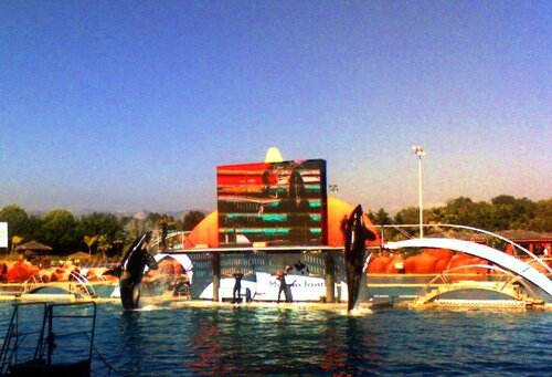 Landmark, attraction Marineland Antibes, Antibes, photo