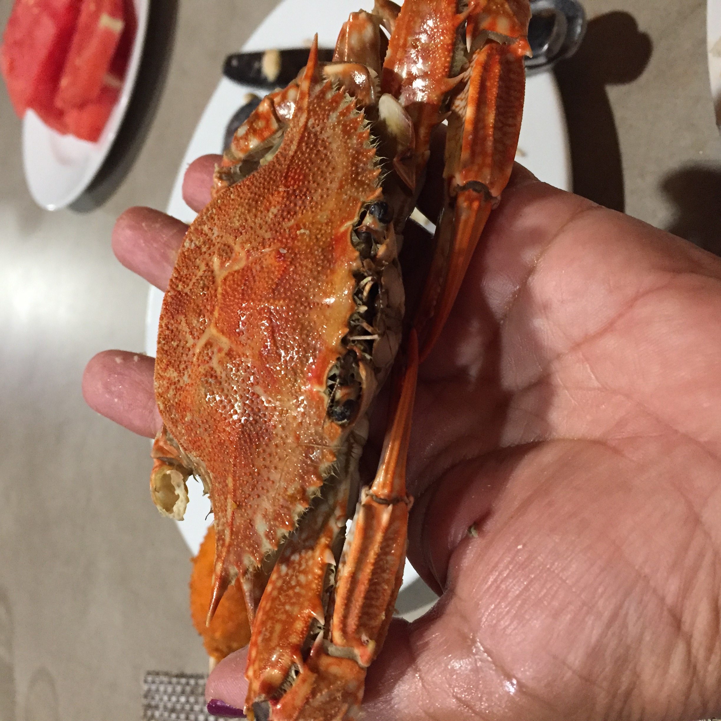 Фото Best Maritim