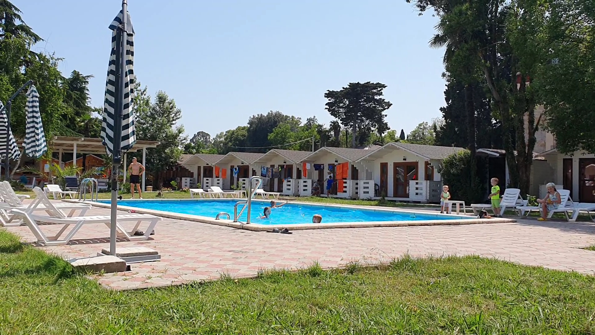 Фото Цитрус 1