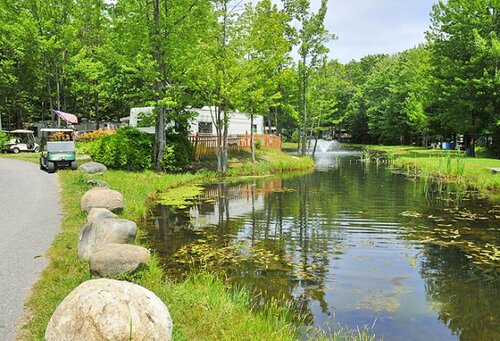 Park Pinehirst Rv Resort & Campground, Saco, photo