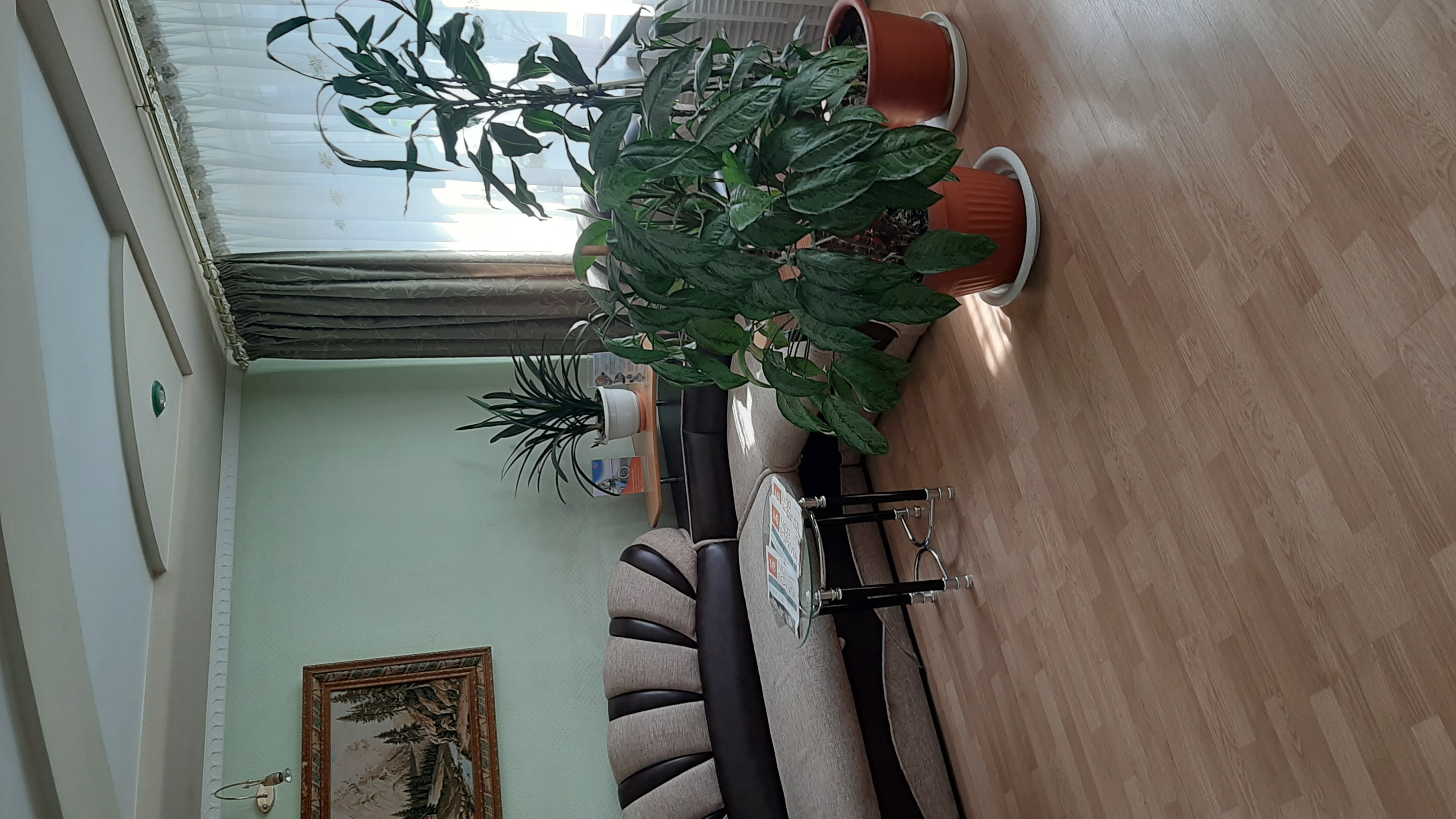 Фото Горняк