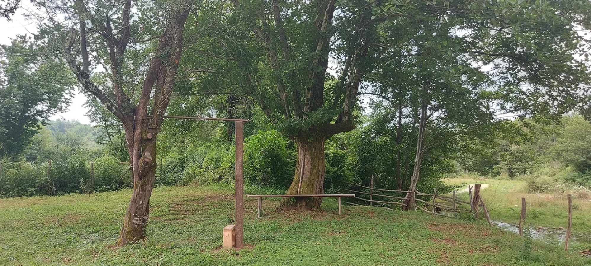 Фото Страна Души