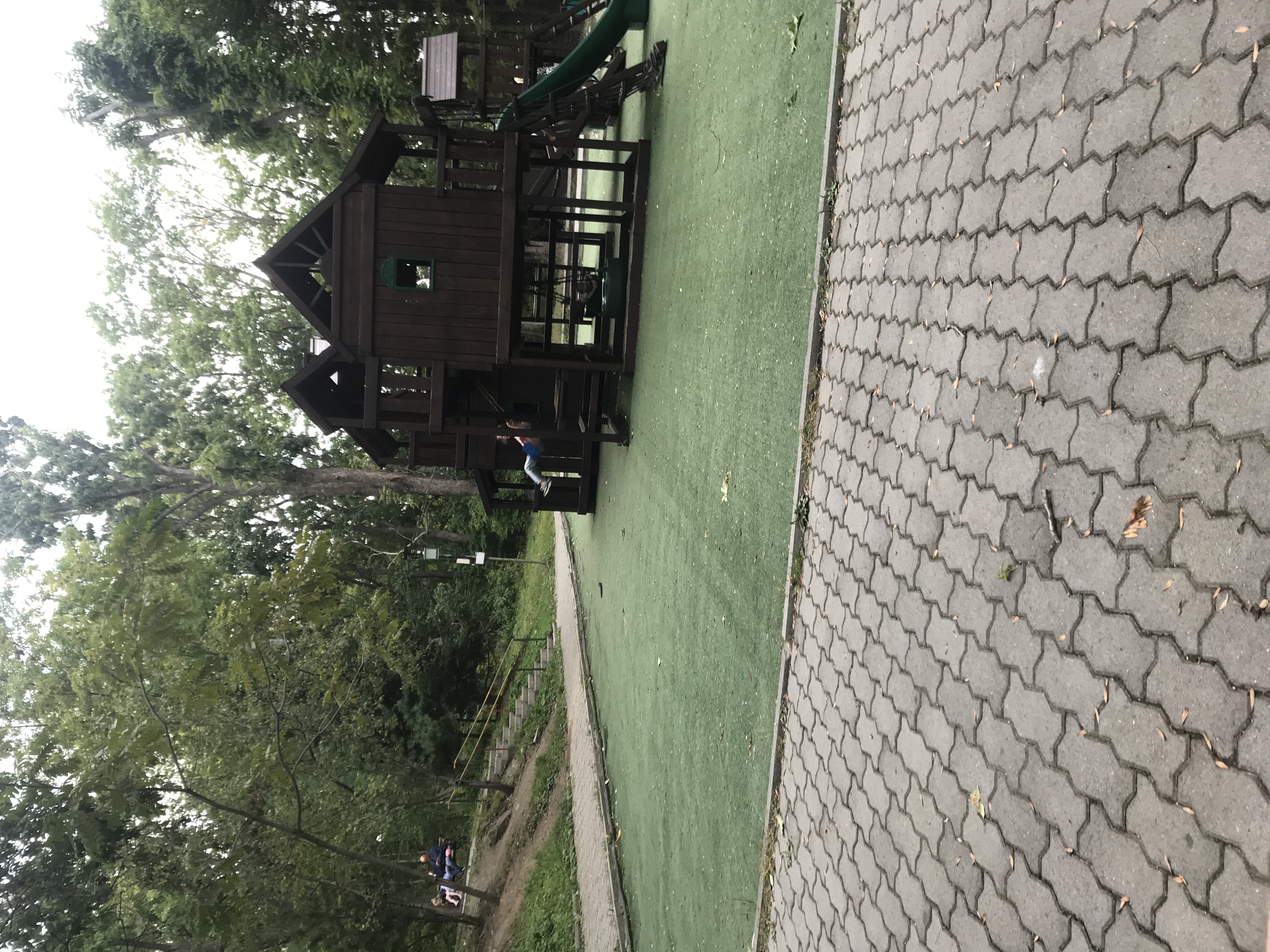 Фото Аврора 