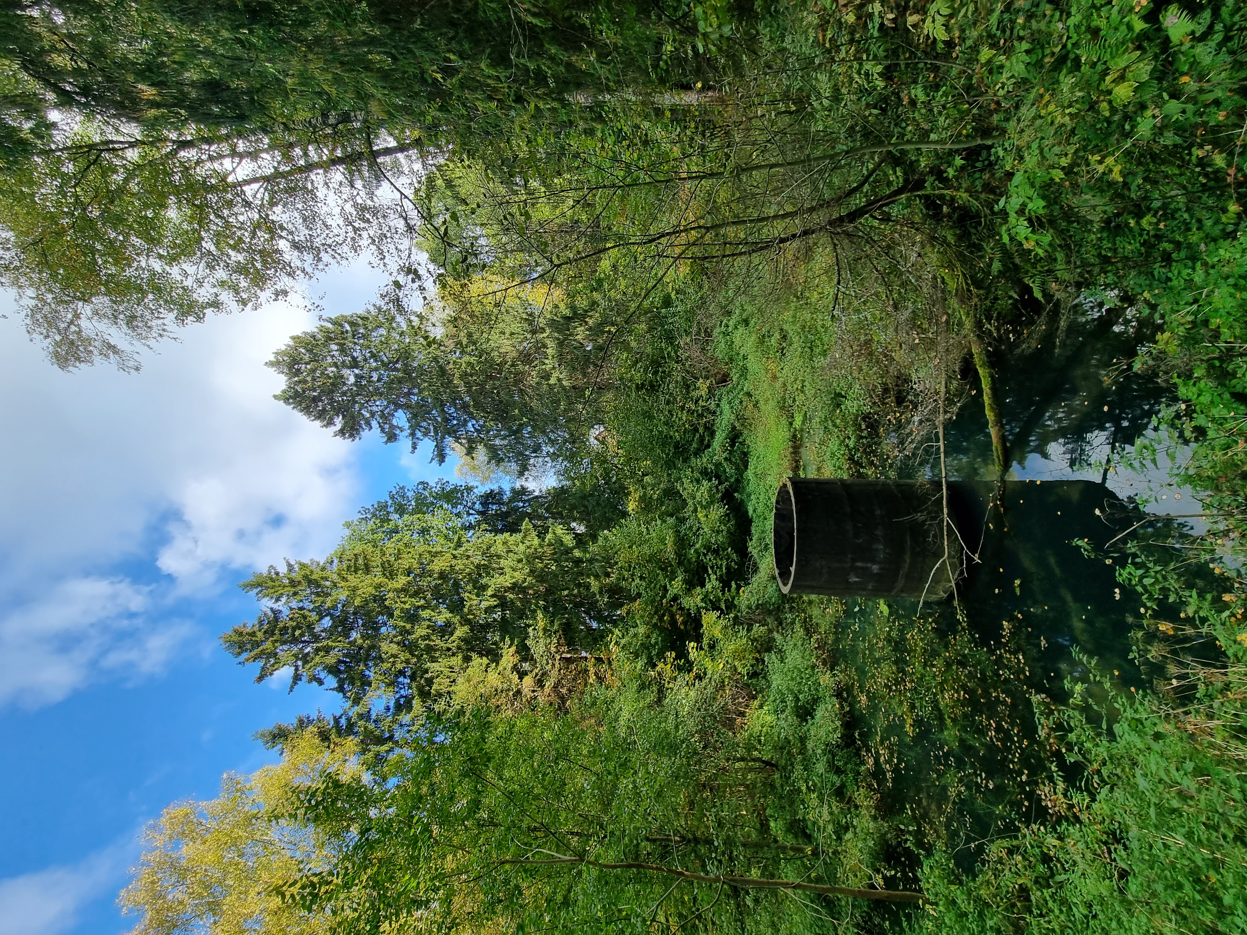 Фото Центр социальной геронтологии Чайковский