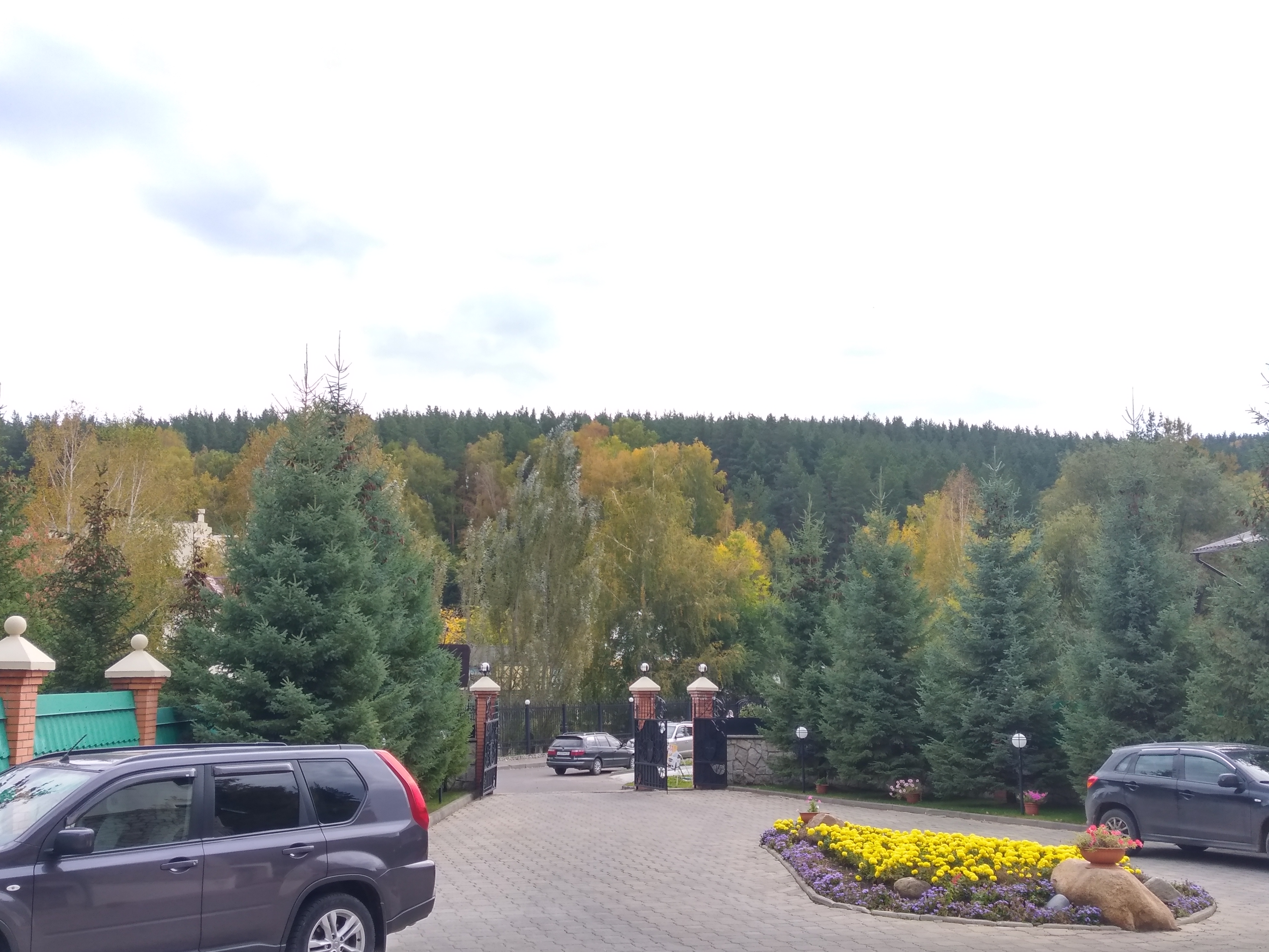 Фото Беркут