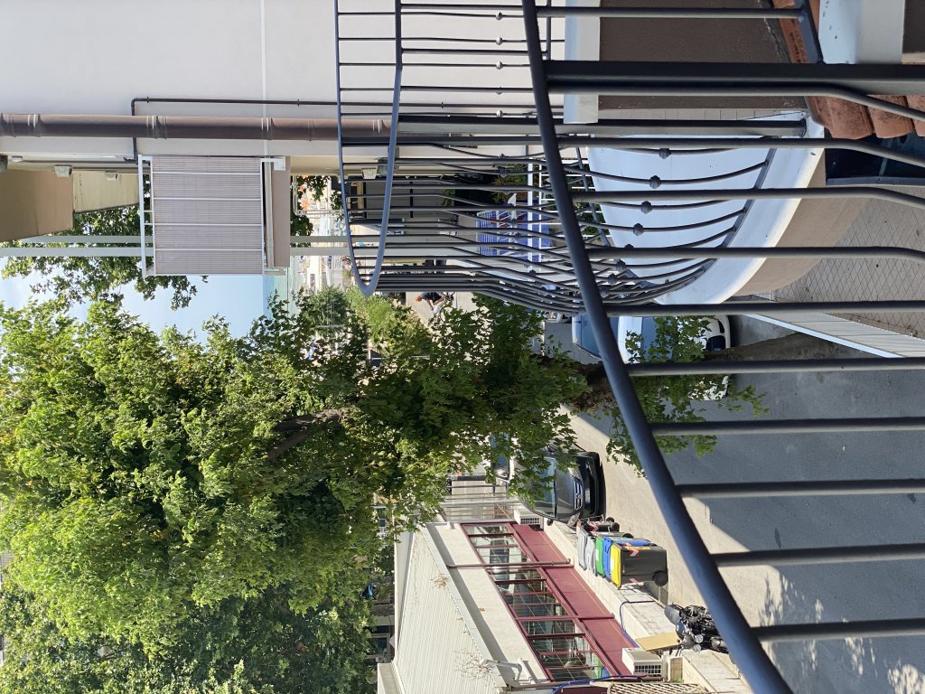 Фото Noah Beach Hotel