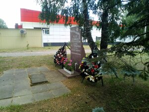 Братская могила (Калужская область, 29Н-178), памятник, мемориал в Калужской области