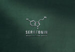 Serotonin Center (Saint Petersburg, 4th Krasnoarmeyskaya Street, 18Б), family сounseling
