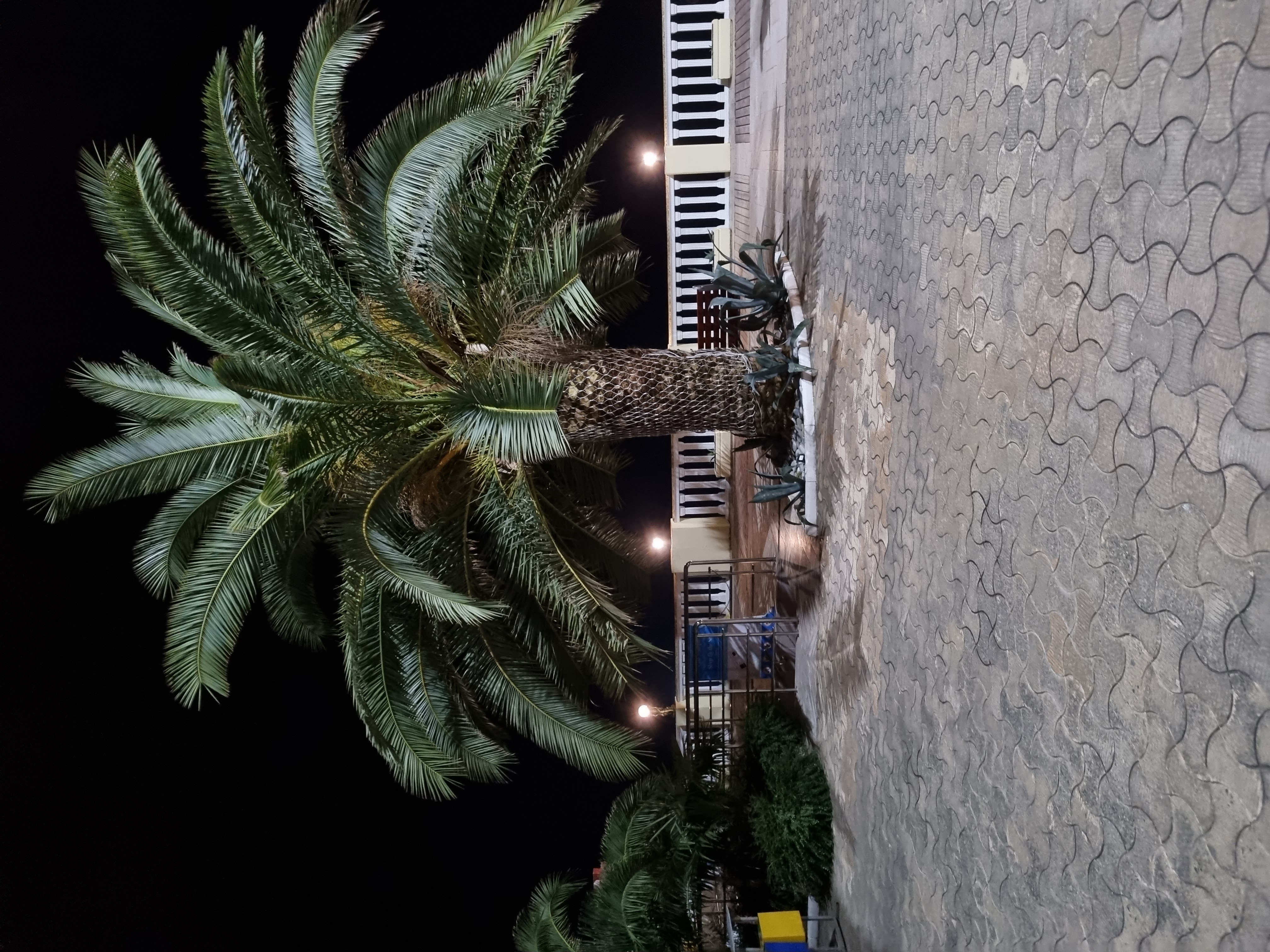 Фото Виллоо Боско