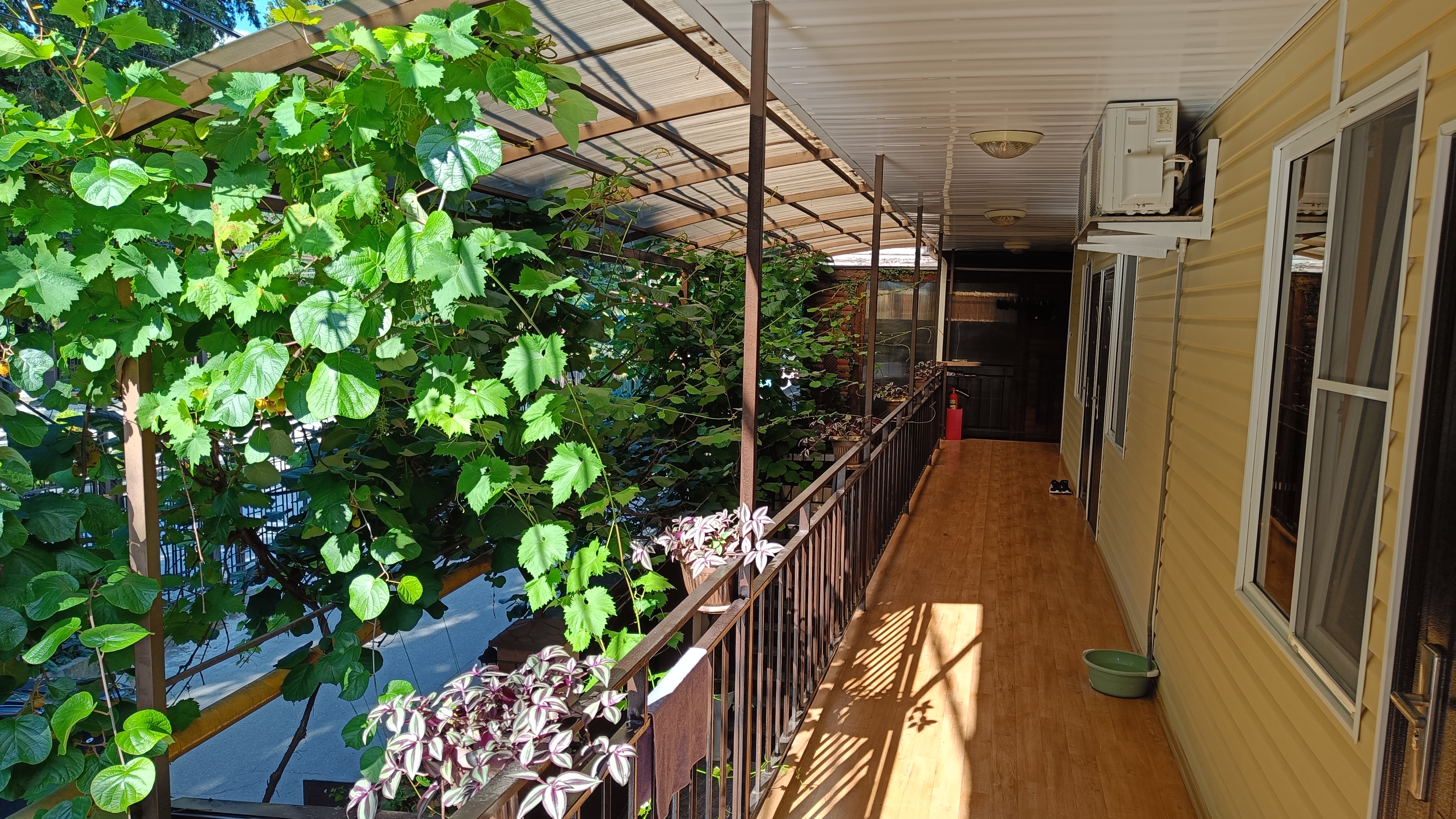 Фото Александра