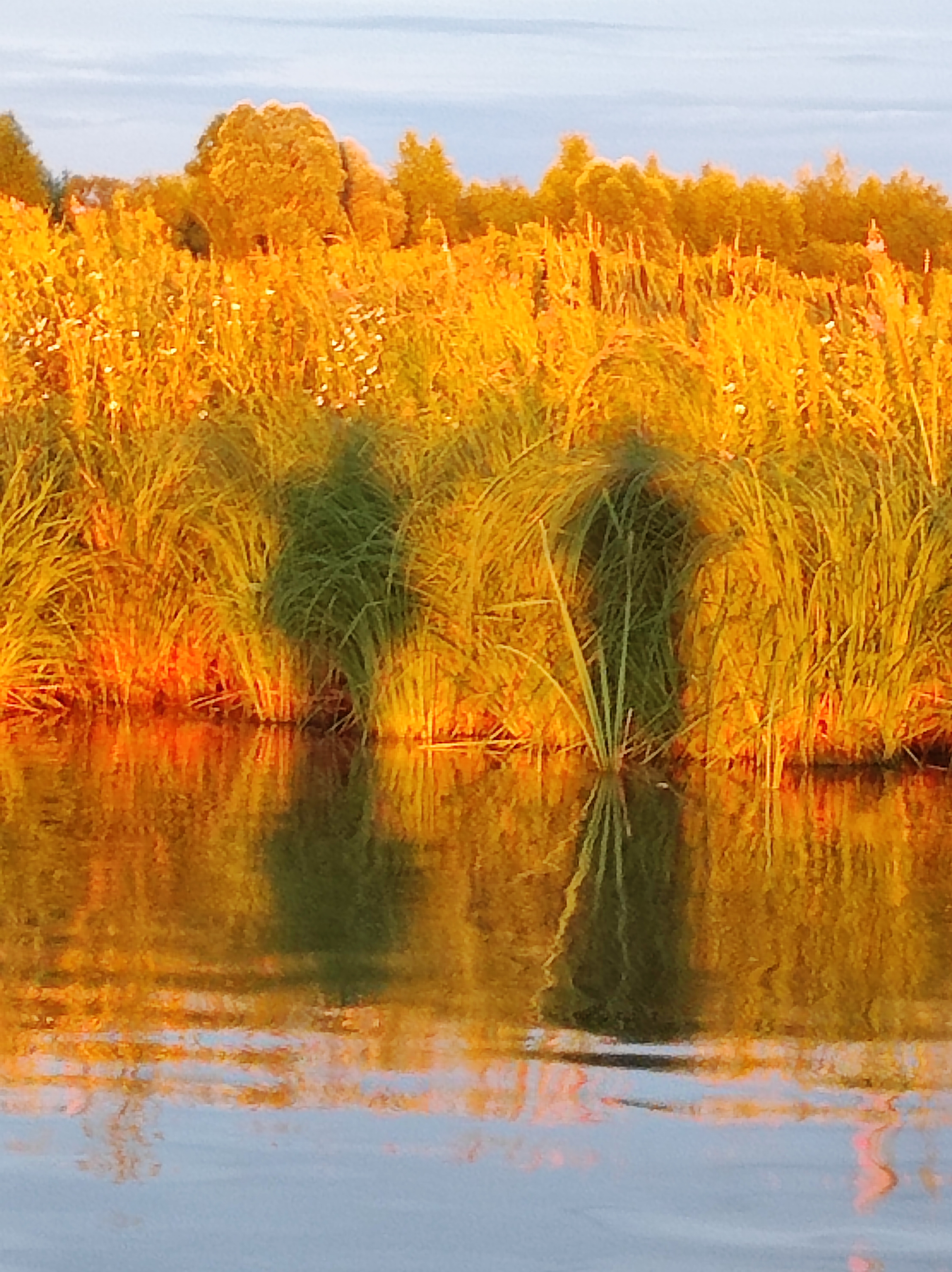 Фото Гагарин Лов