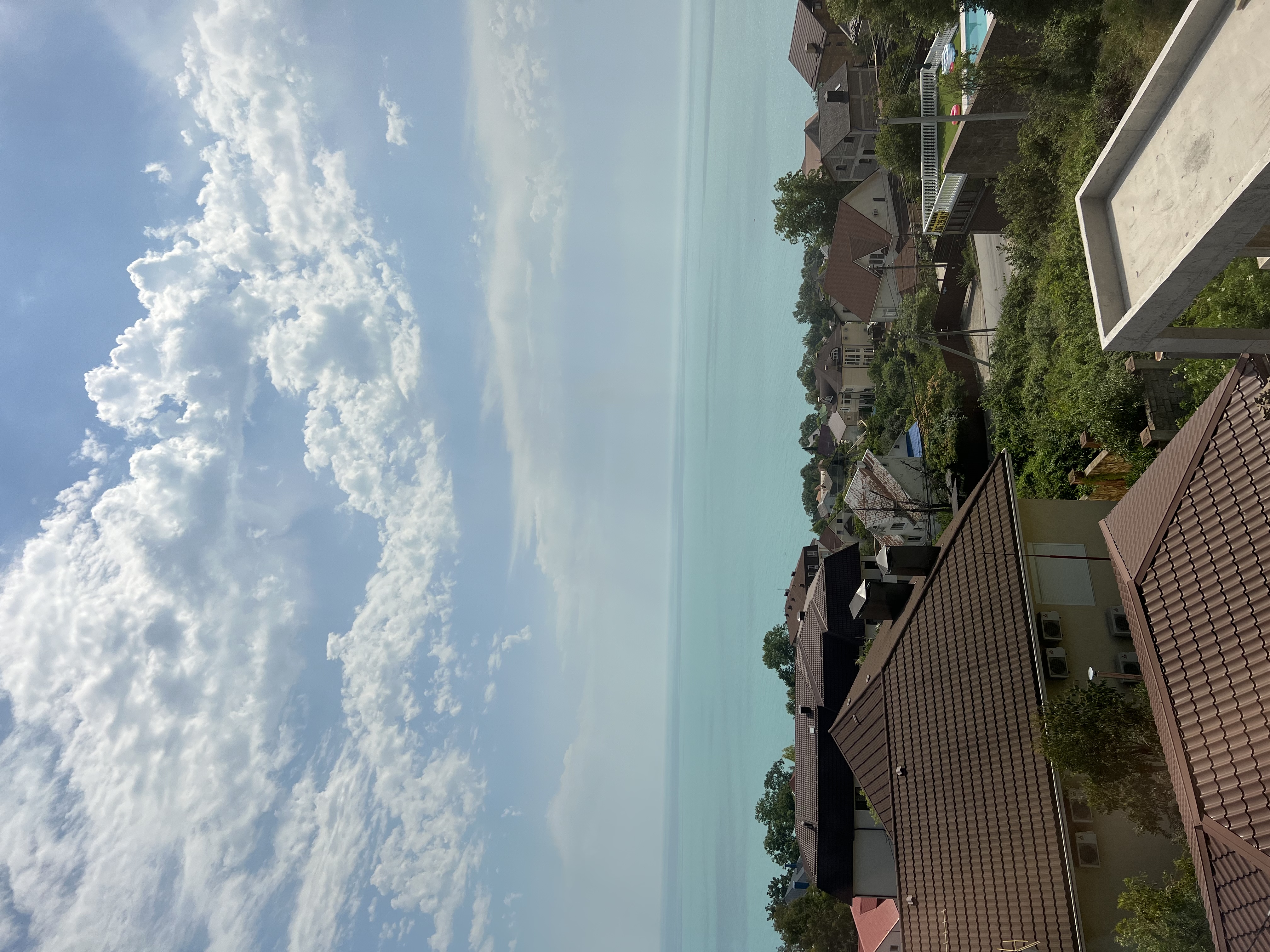 Фото Династия