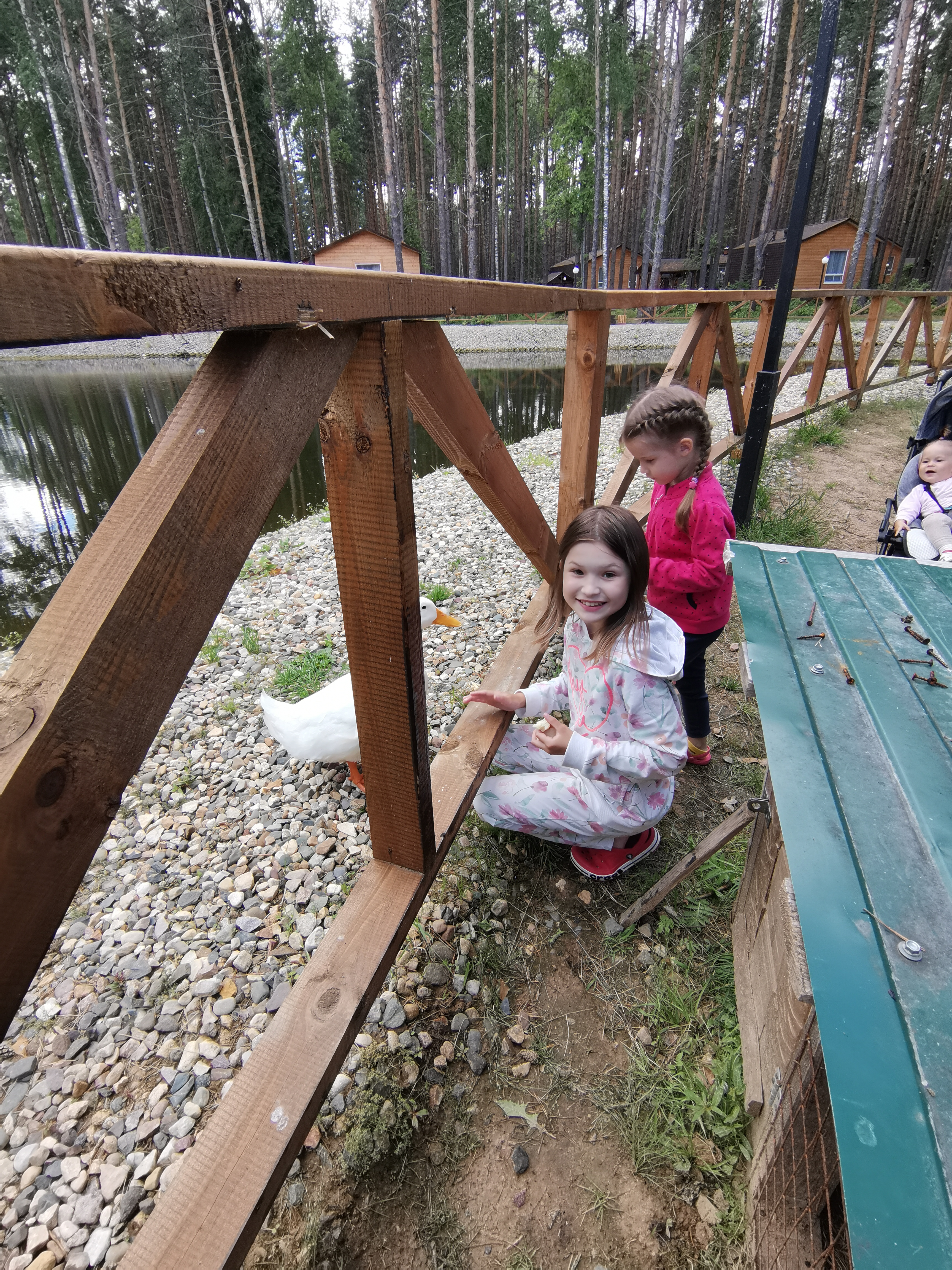 Фото Sherwood Park Hotel