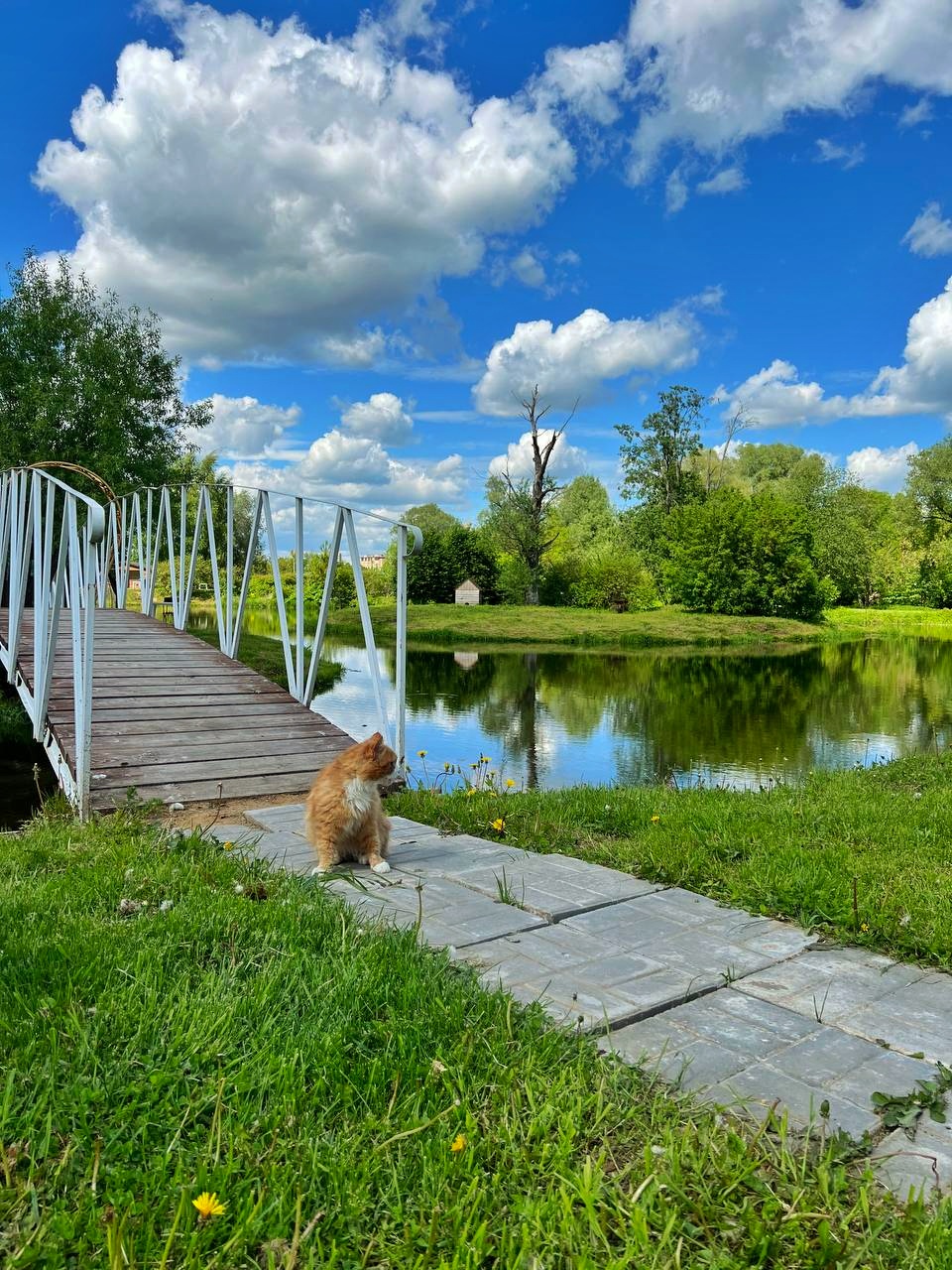 Фото Ок-Река