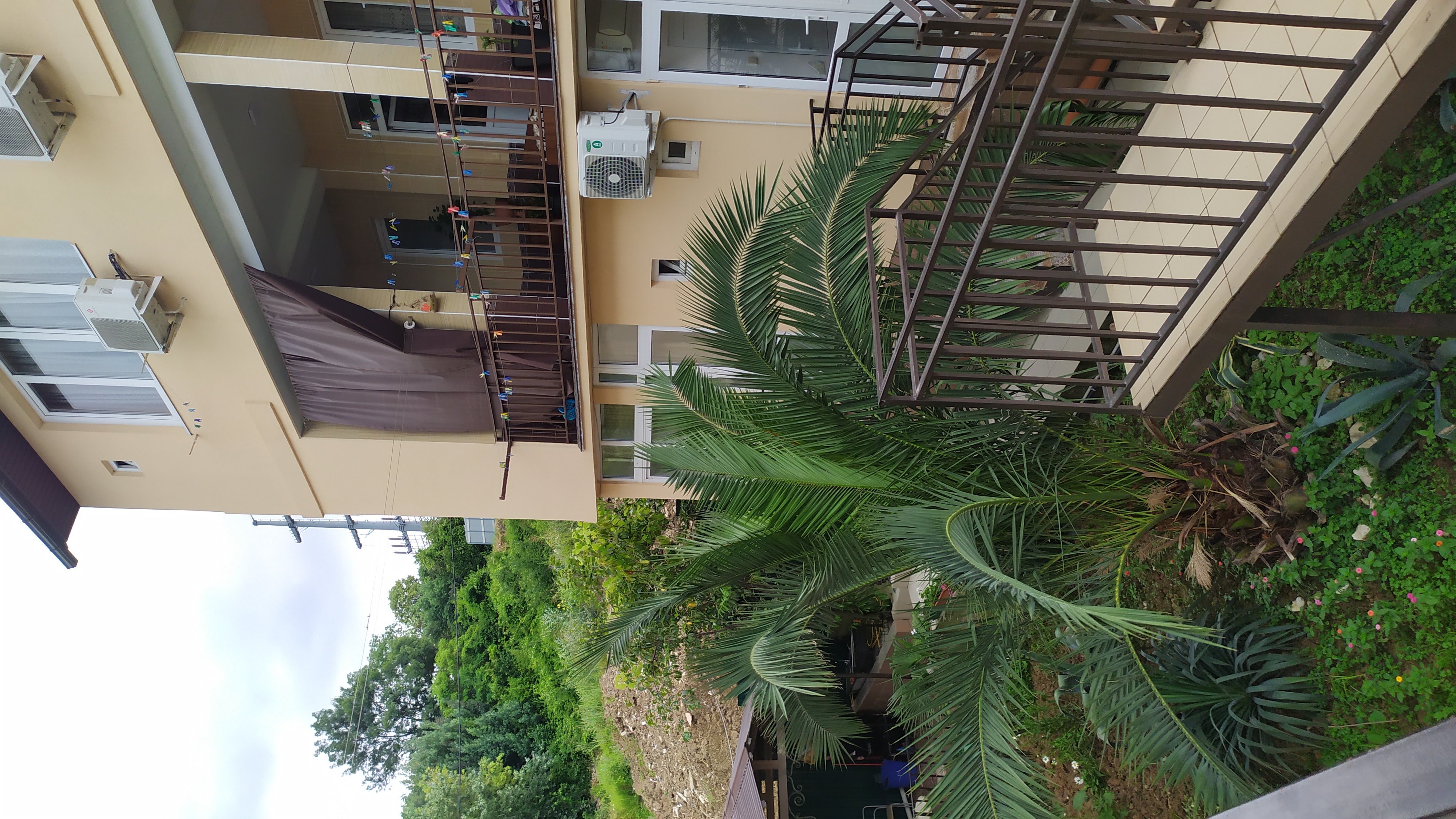 Фото У Луизы