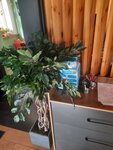 Бери заряд (Korolyova Avenue, 65) ، تأجير أجهزة الشحن