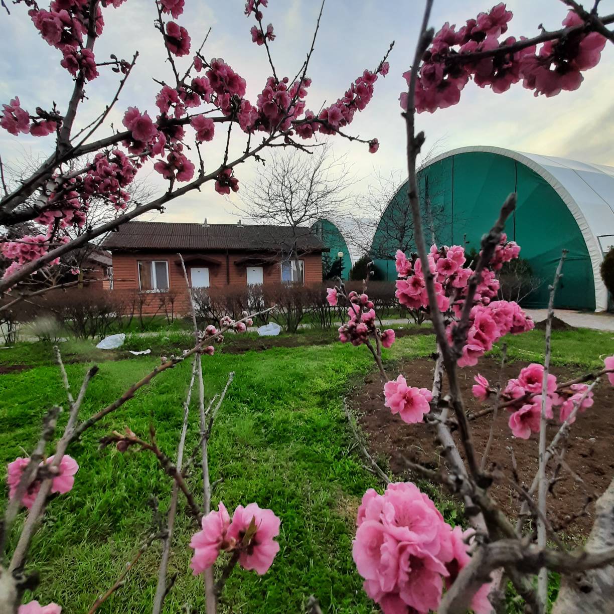Фото Солнечный берег