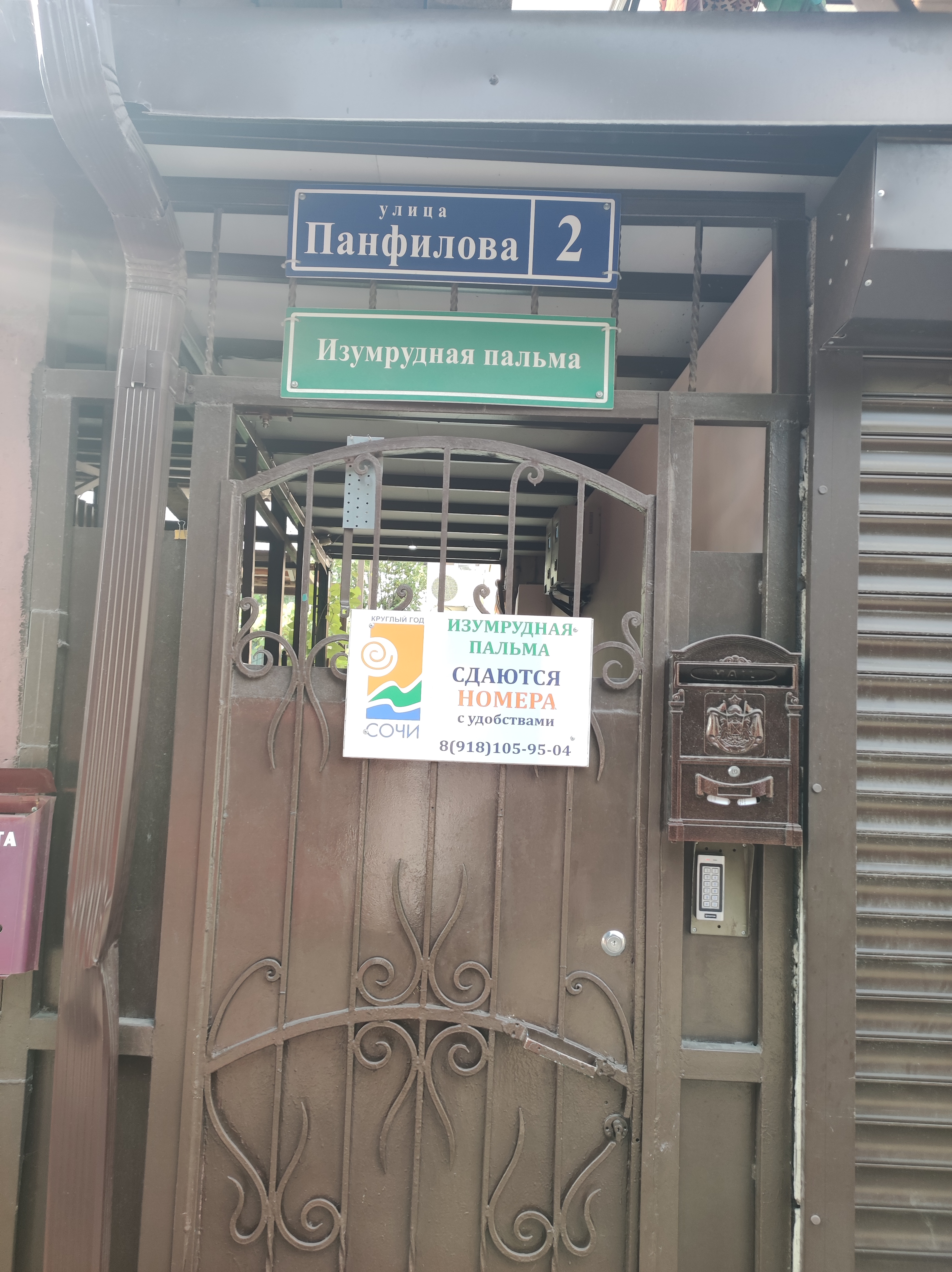 Фото Изумрудная пальма