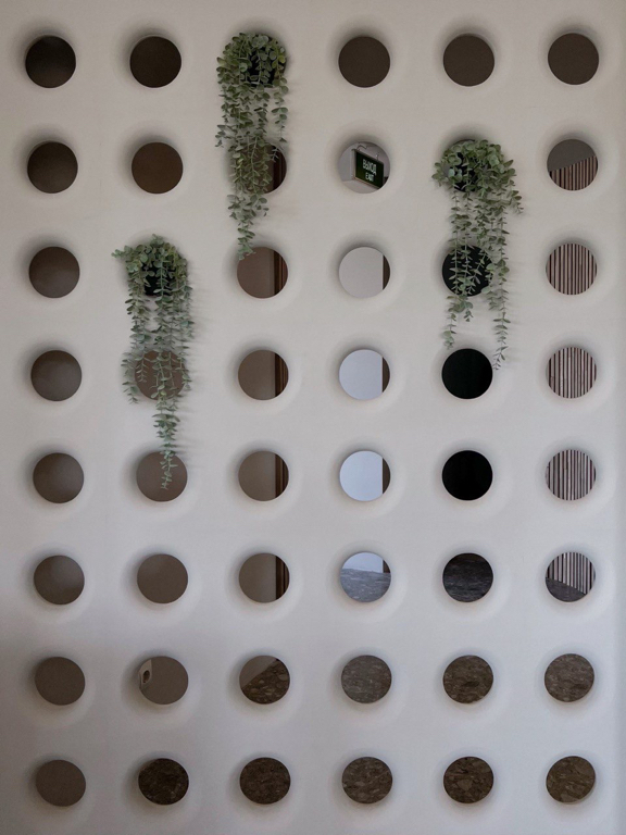 Фото Клевер