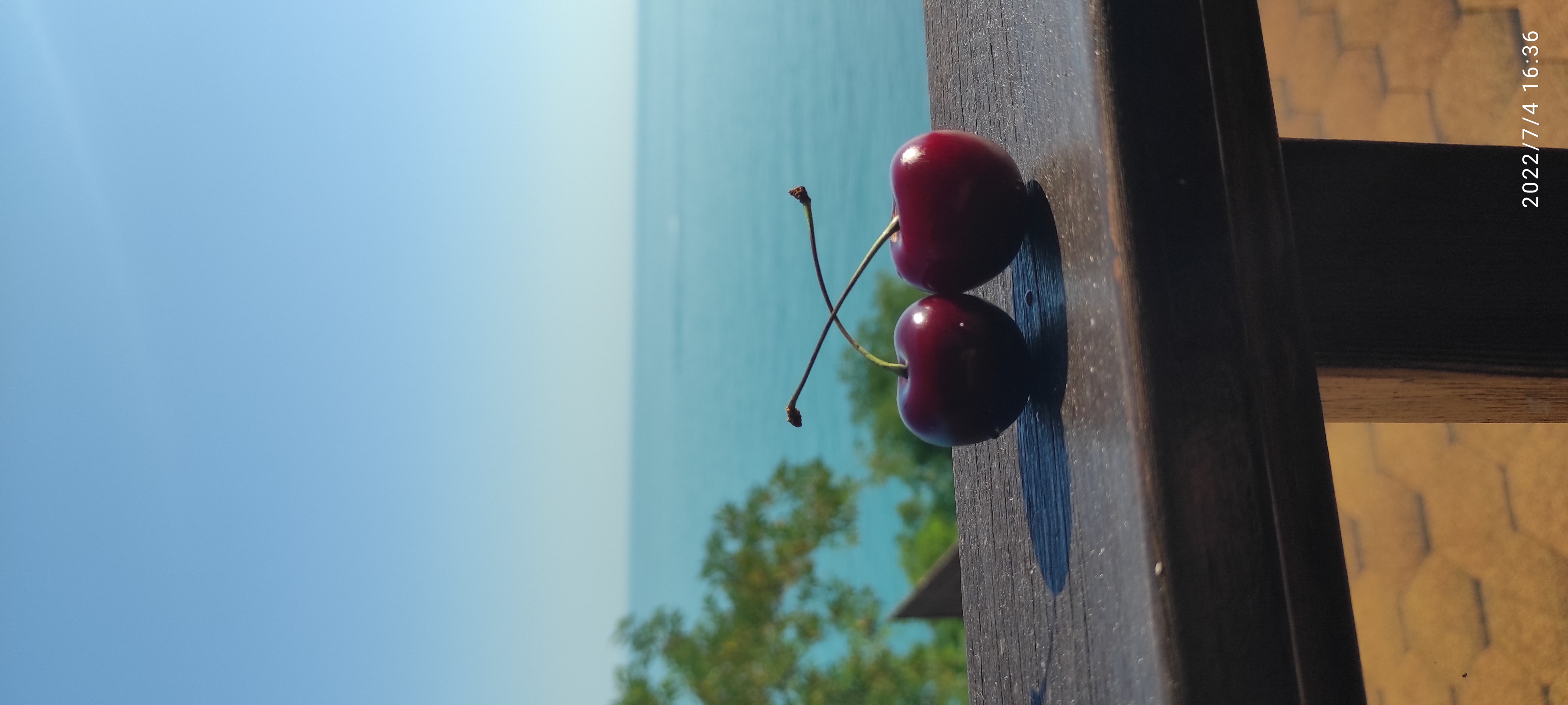 Фото Прибрежная сказка