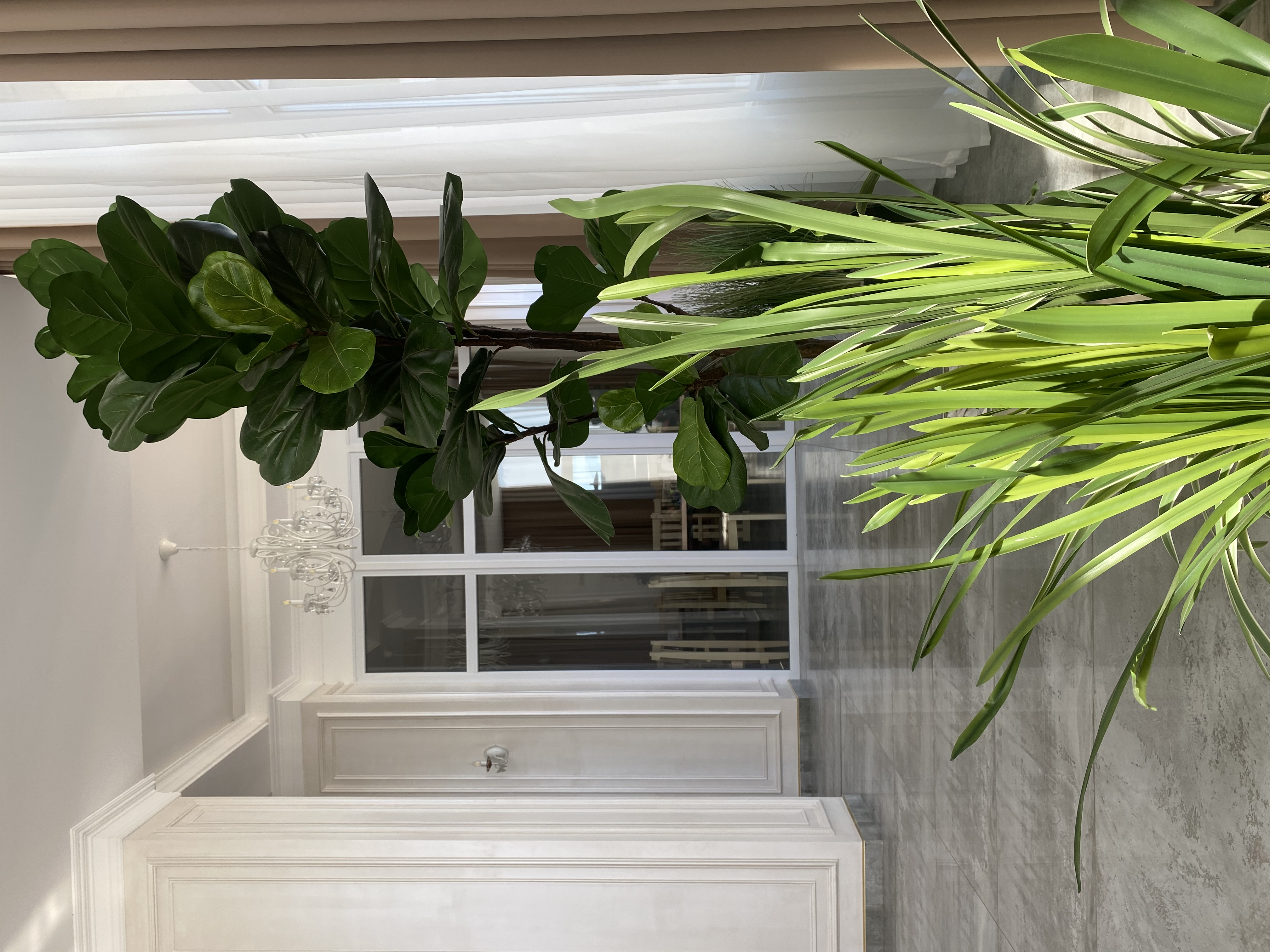 Фото Панорама