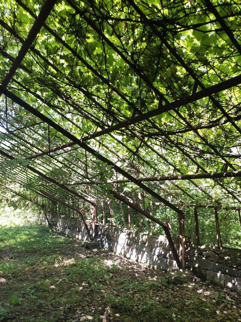 محمية Vanadzor Botanical Garden Entrance ، ، صورة