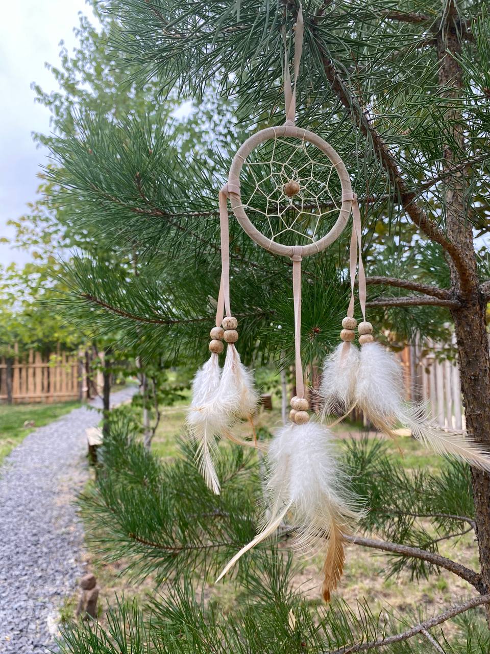 Фото Скандинавия