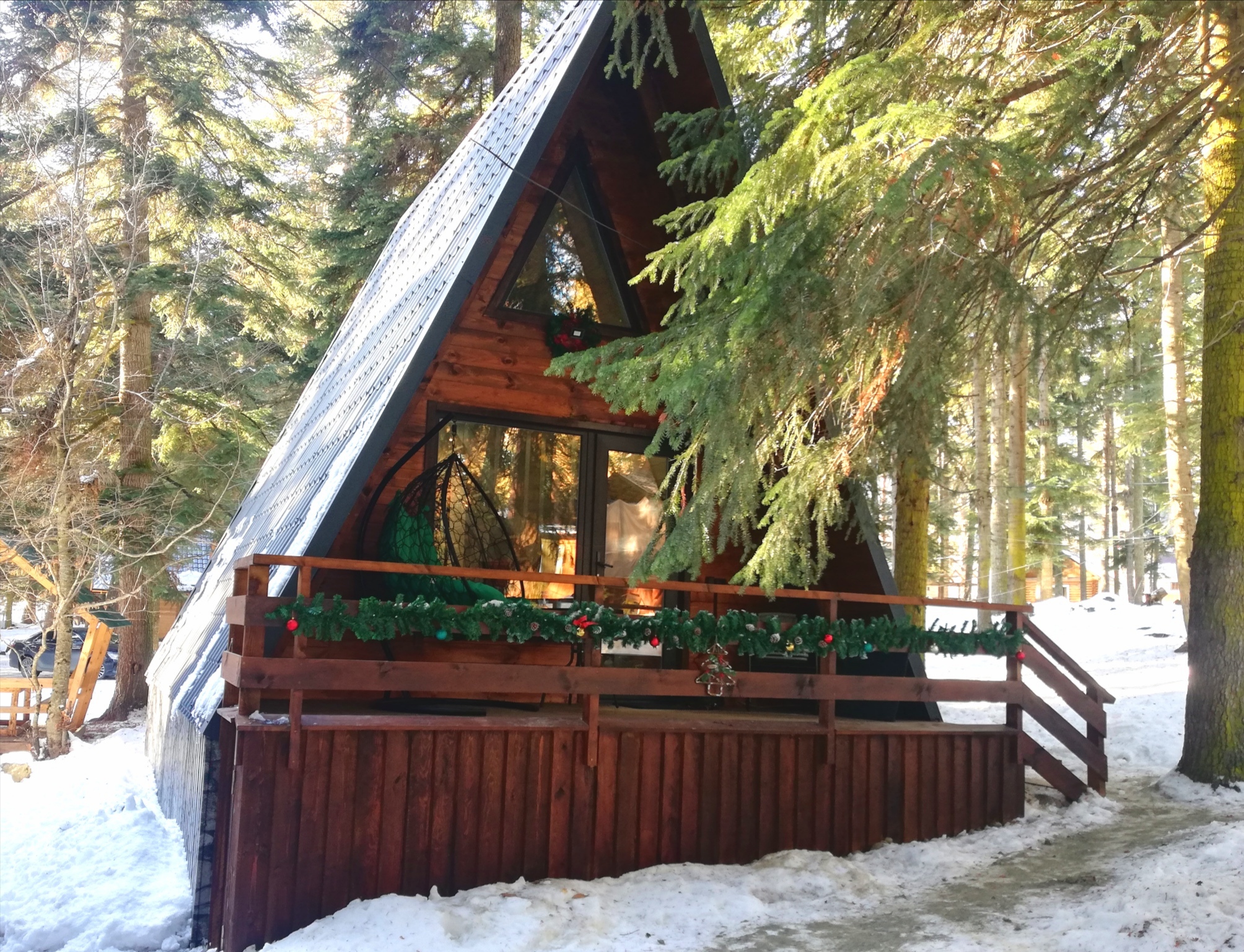 Фото Ёлки House