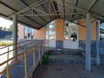 Автовокзал (Republic of Bashkortostan, Oktyabrskiy, ploshchad imeni Lenina), estación de autobuses, estación de autobuses