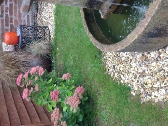 Фото Little Lodge