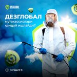 DezGlobal (Kurilish dead end 1, 8), disinfection, disinsection, deratization