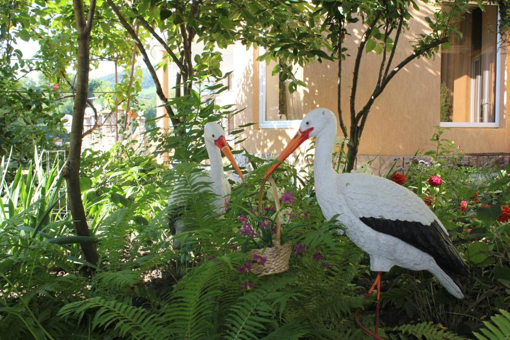 Фото Буржуазия