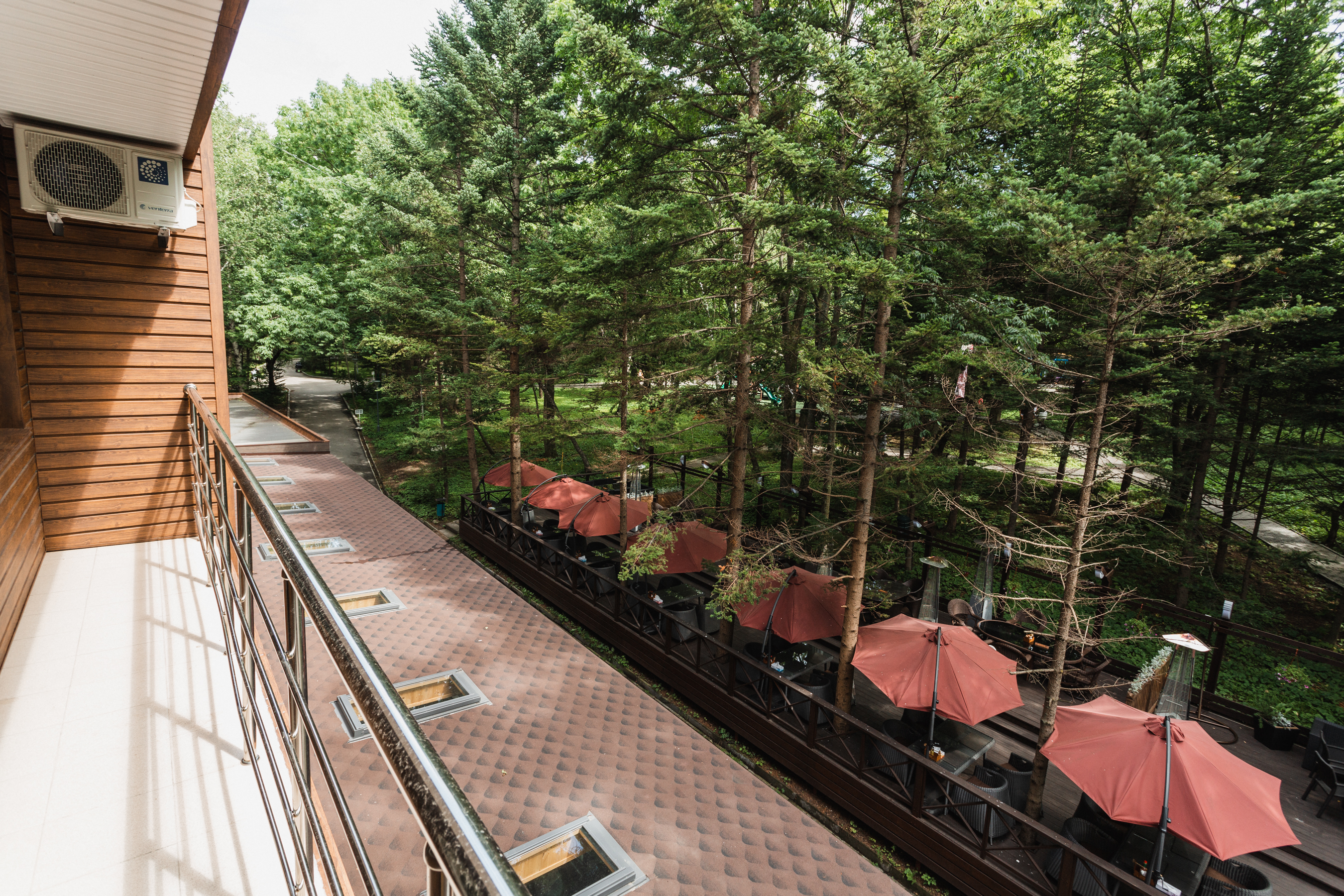 Фото Аврора 