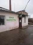 Приём вторсырья (Volgograd, Bakhturova Street, 12), purchase of recyclables