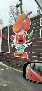 Бистро (Primorye Territory, Nadezhdinskiy District, selo Kiparisovo), fast food
