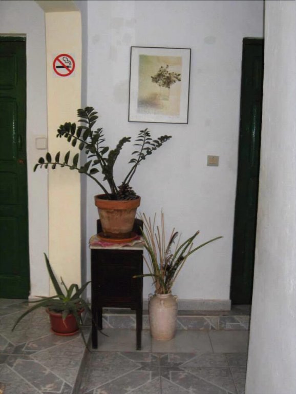 Фото Pensión Playa Mogán