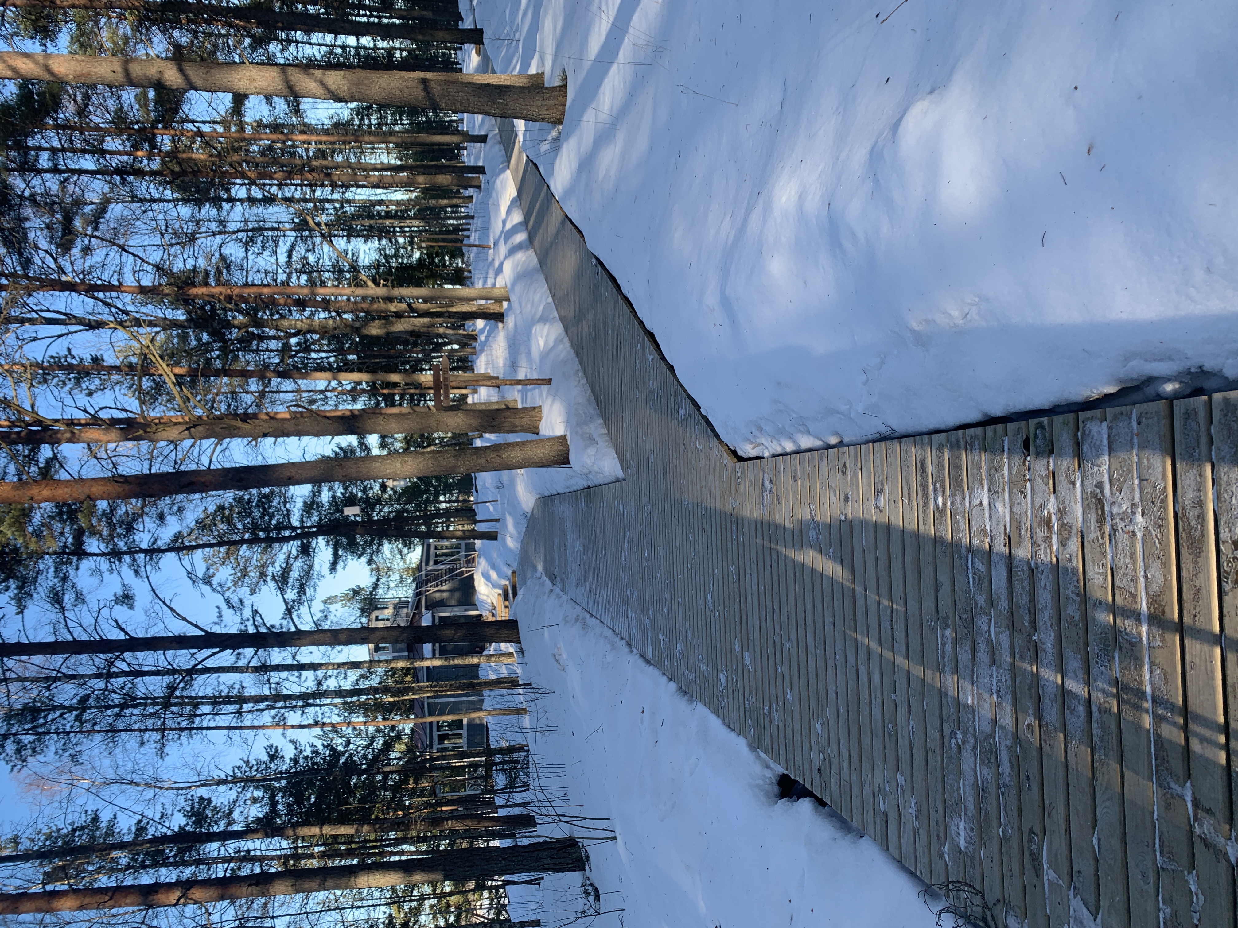 Фото Ладога озеро