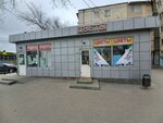 Magazin tsvetov (Zhilgorodok Neighborhood, Vostochno-Kazakhstanskaya Street, 14Б), flower shop